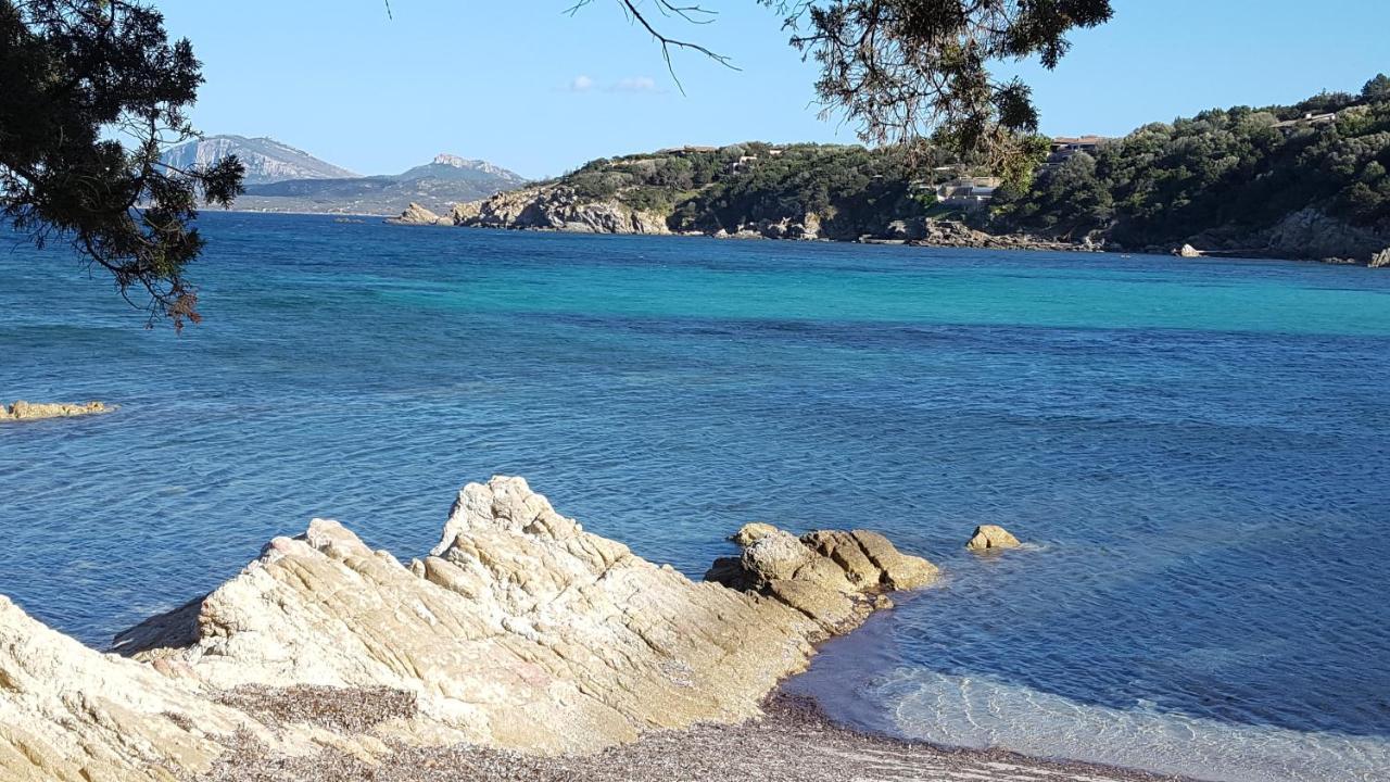 Appartamento A Porto Rotondo - Villaggio Punta Volpe - Iun S5393 Extérieur photo
